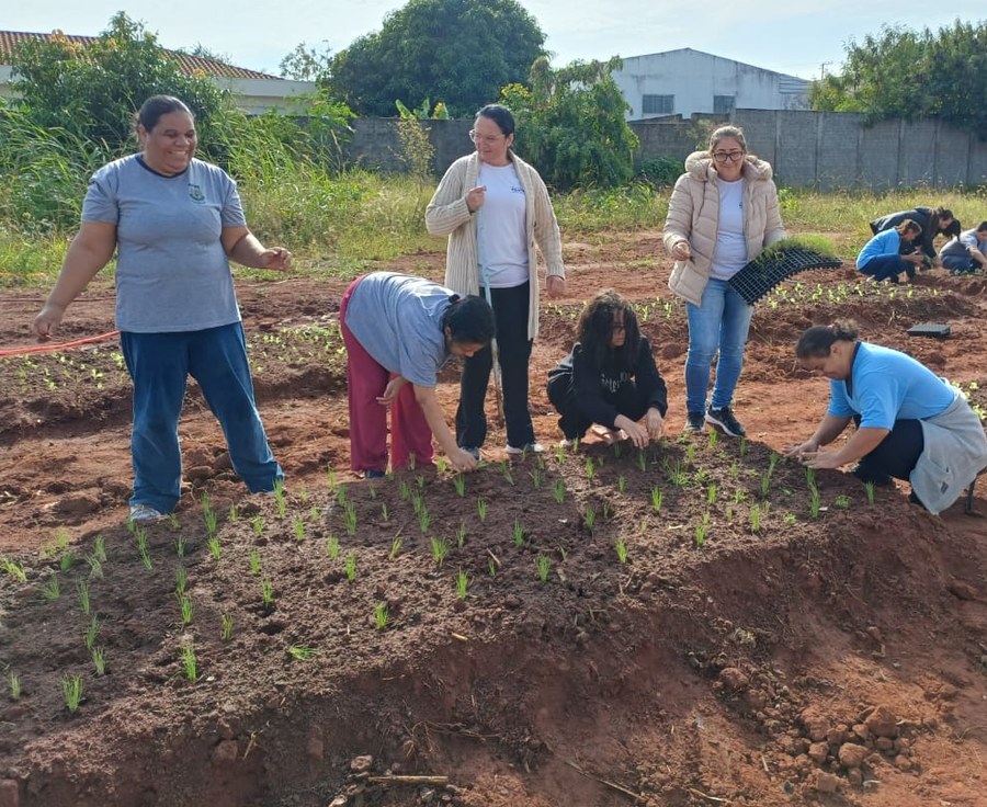 Equipe e parceiros durante mutirão de plantio na Horta Educativa e Comunitária da APAE