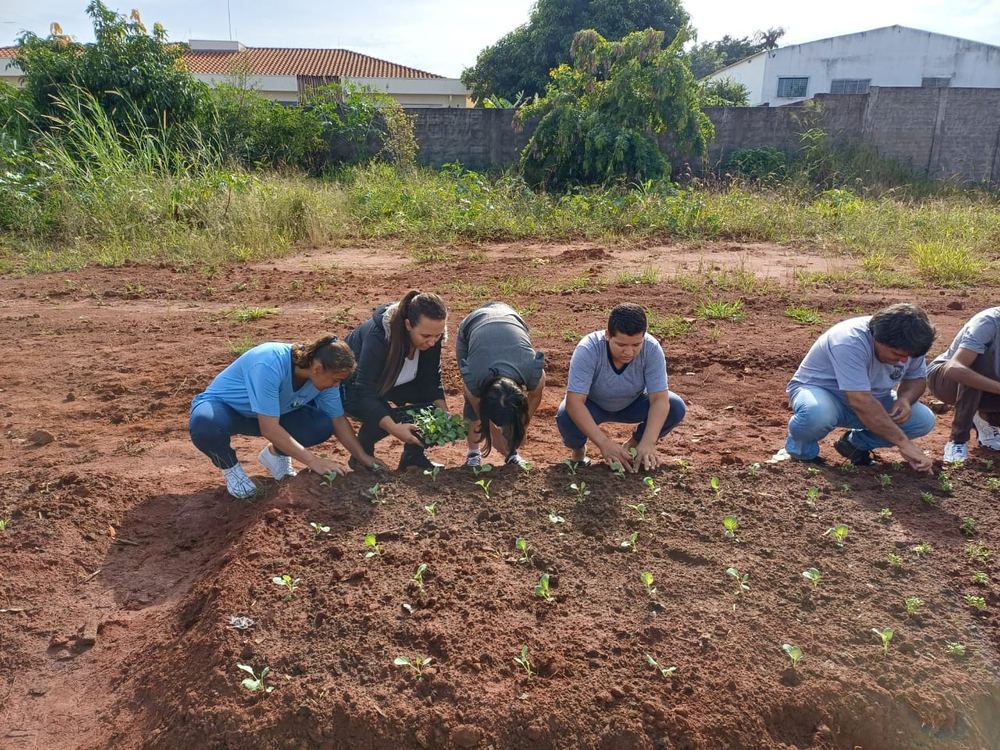 Mutirão de plantio na Horta Educativa e Comunitária