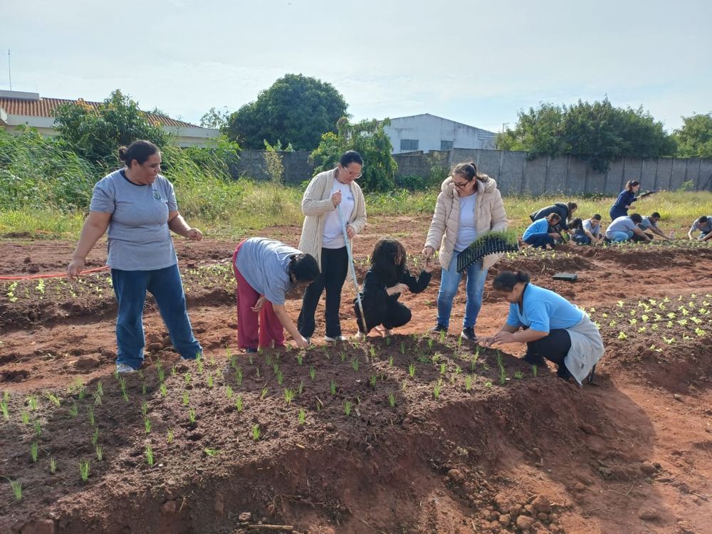 Plantio em grupo na Horta Educativa e Comunitária